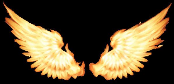 Wings.jpg