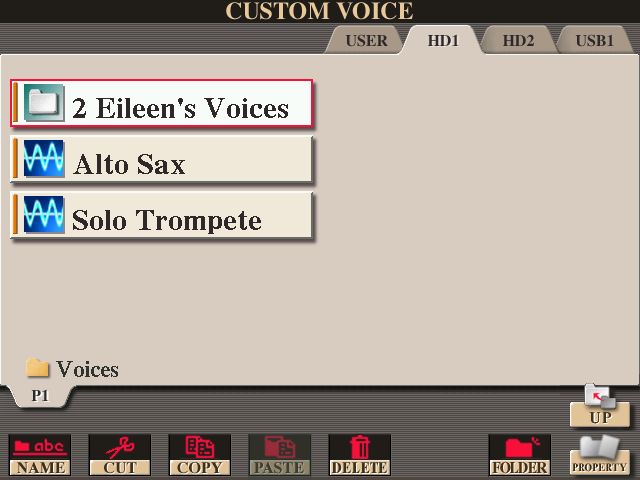 Custom Voices selecteren