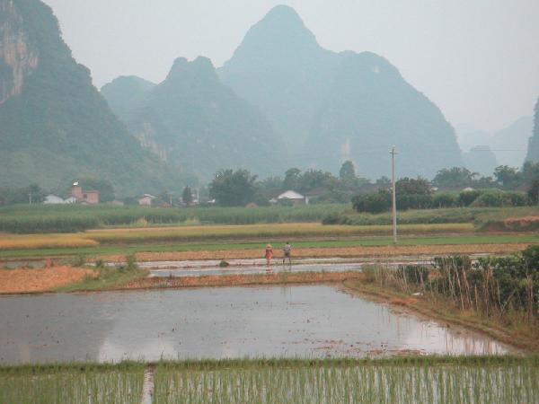 4ch177_Yangshou_fietstocht_rijstvelden_water02