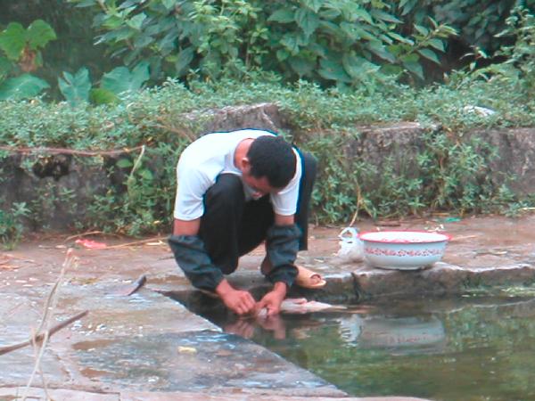 4ch178_Yangshou_fietstocht_man_plukken_kip