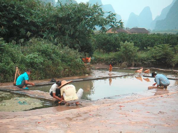 4ch179_Yangshou_fietstocht_mensen_plukken_kip
