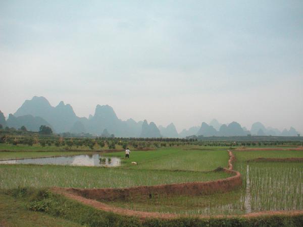 4ch182_Yangshou_fietstocht_landschap