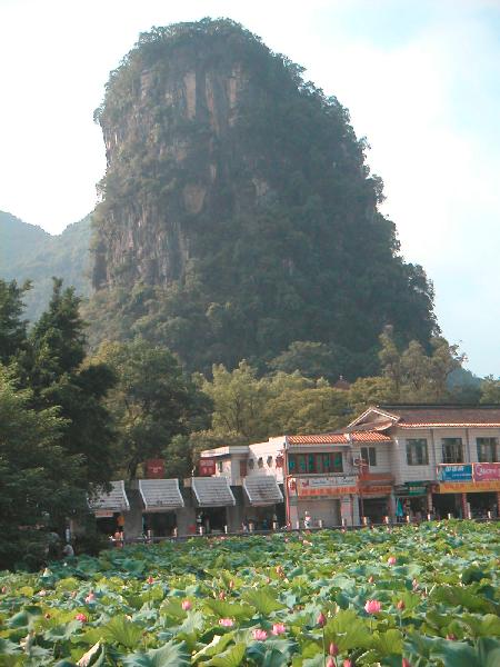 4ch183_Yangshou_berg_lotusbloemen