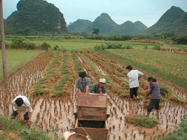 4ch207_Yangshou_omgeving_Baisha_mensen