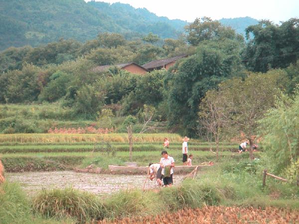 4ch219_Yangshou_mensen_op_land02