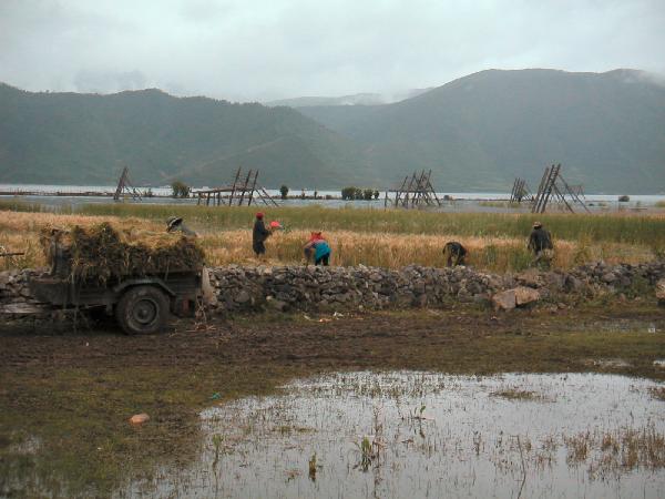 4ch365_nabij_Zhongdian_meer02