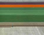flevoland01