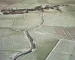 friesland