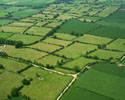 limburg
