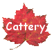 Cattery