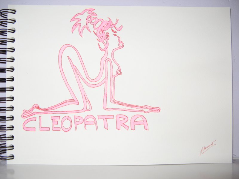 cleopatrapink_img_9001.jpg