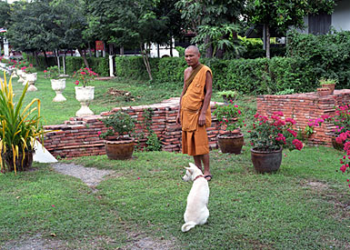 De monnik wil best even poseren met één van de vele honden.