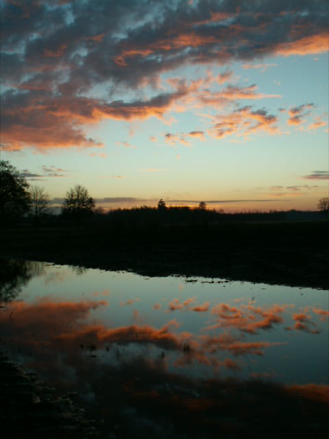 zonsopgang in de achtertuin