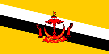 Flag of Brunei Darussalam