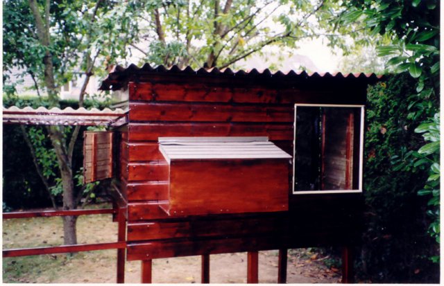 Photograph