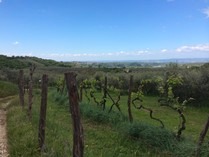 Domenica