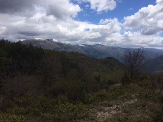IMG 0044