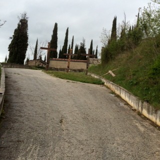 IMG 0050