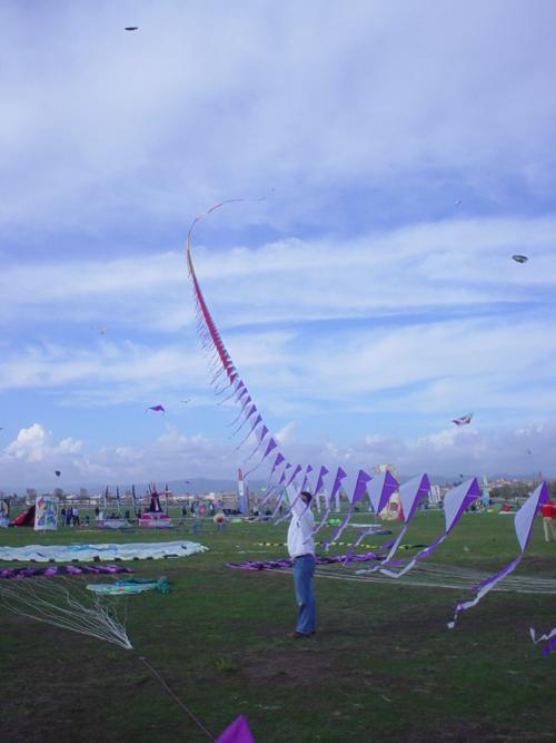 train of kites