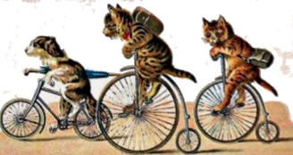fiets 
