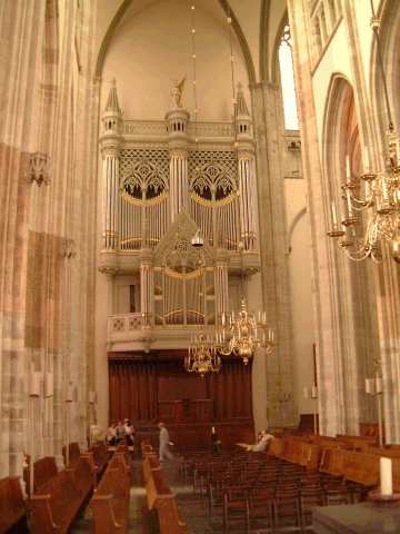 Picture of the Dom organ
