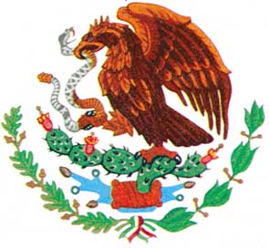detail mexicaanse vlag