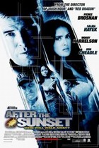 Picture of After the Sunset (2004)