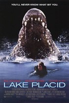 Picture of Lake Placid