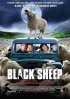 Picture of Black Sheep