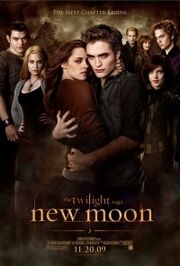 Picture of New Moon