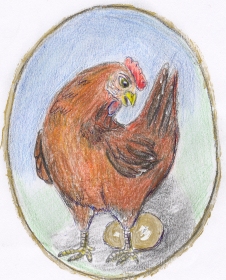 Kip legt een gouden ei