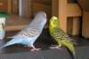 Photo Number 9