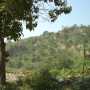 DSC04320 