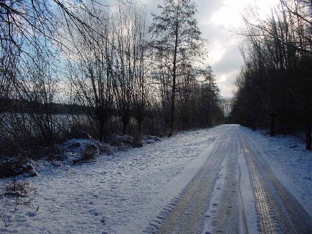 [winterlandschap Maarsseveen]