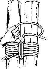 pionieren