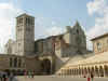 basiliek4gr.jpg (26661 bytes)