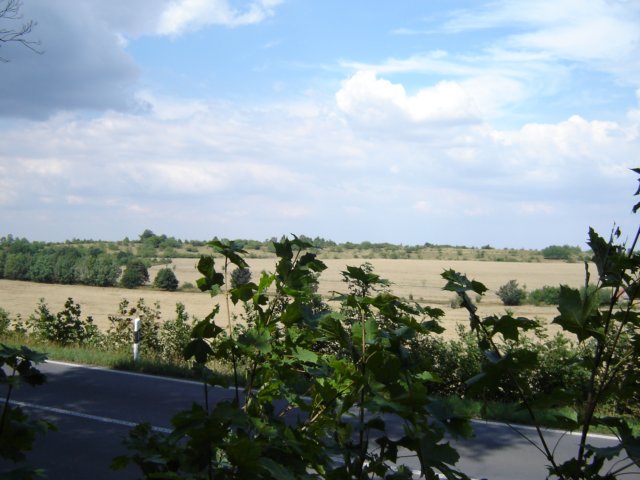 landschap4.jpg