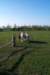 Photo Number 6