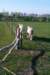 Photo Number 8