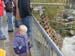 DSCN0234