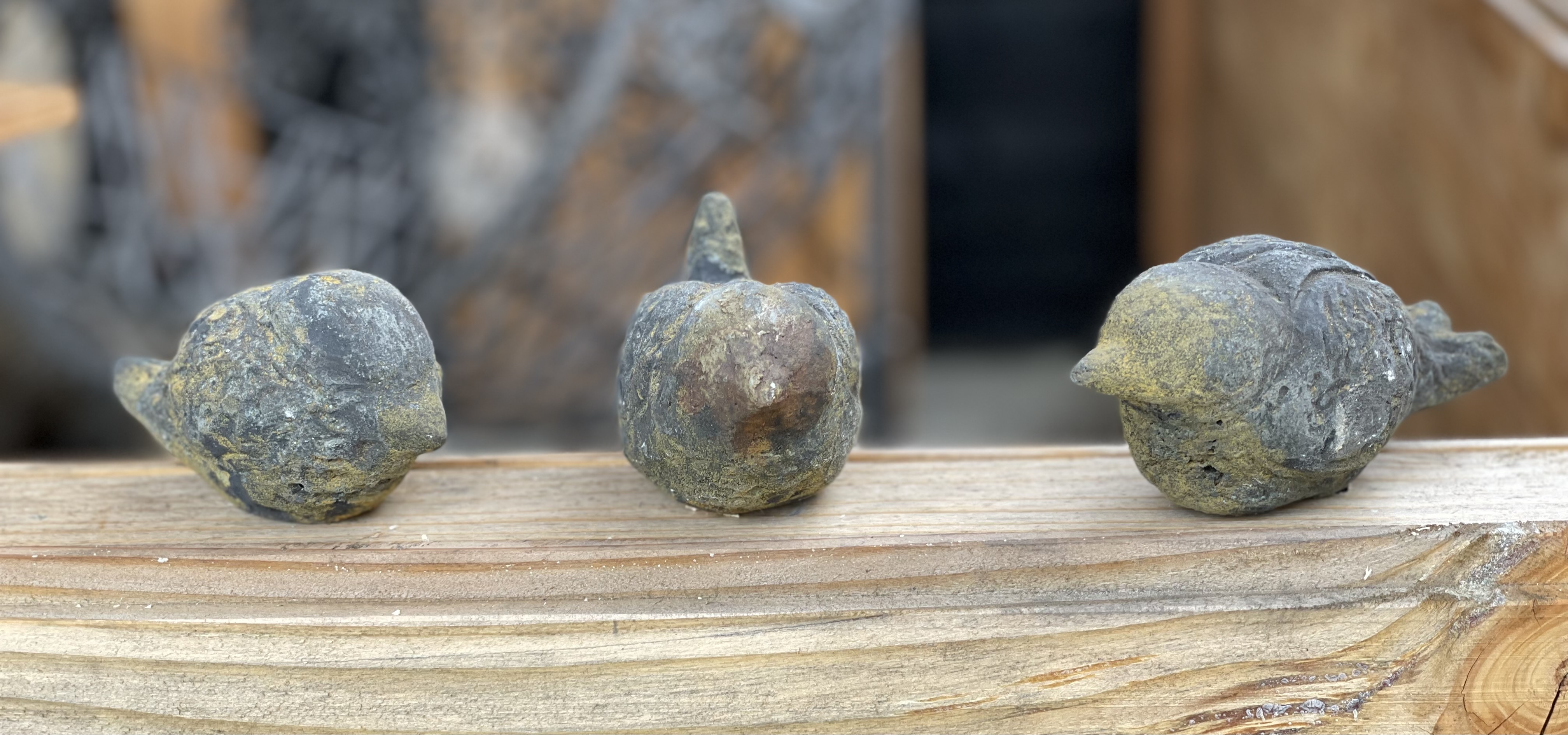 <b>Vrolijke vogels</b><br>Ditte Broeder<br>aluminiumcement