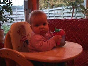 Dit is Ninke