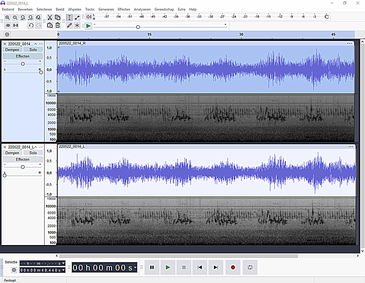 Audacity met  een geluidsfragment