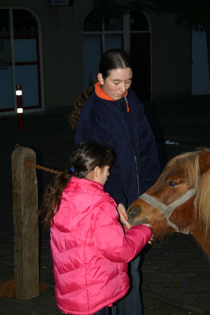 adrillen20040013
