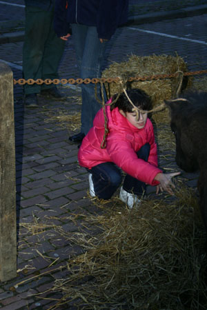 adrillen20040020