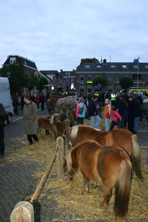 adrillen20040027