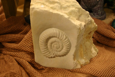 adrillen20040092