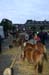 adrillen20040027