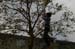 adrillen20040123