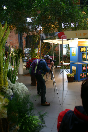 blumenschauPapenburg20040148